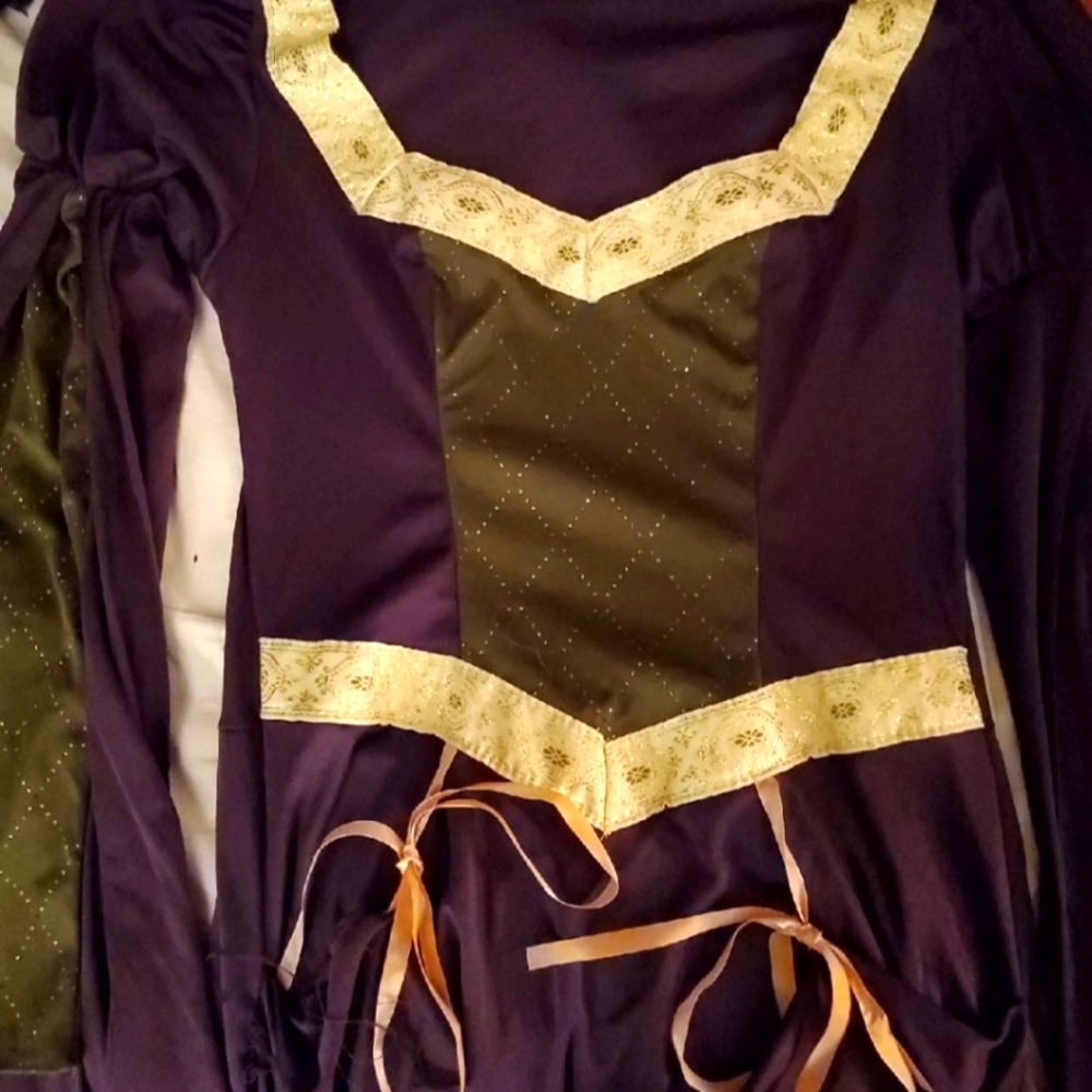 Purple and green costume dress